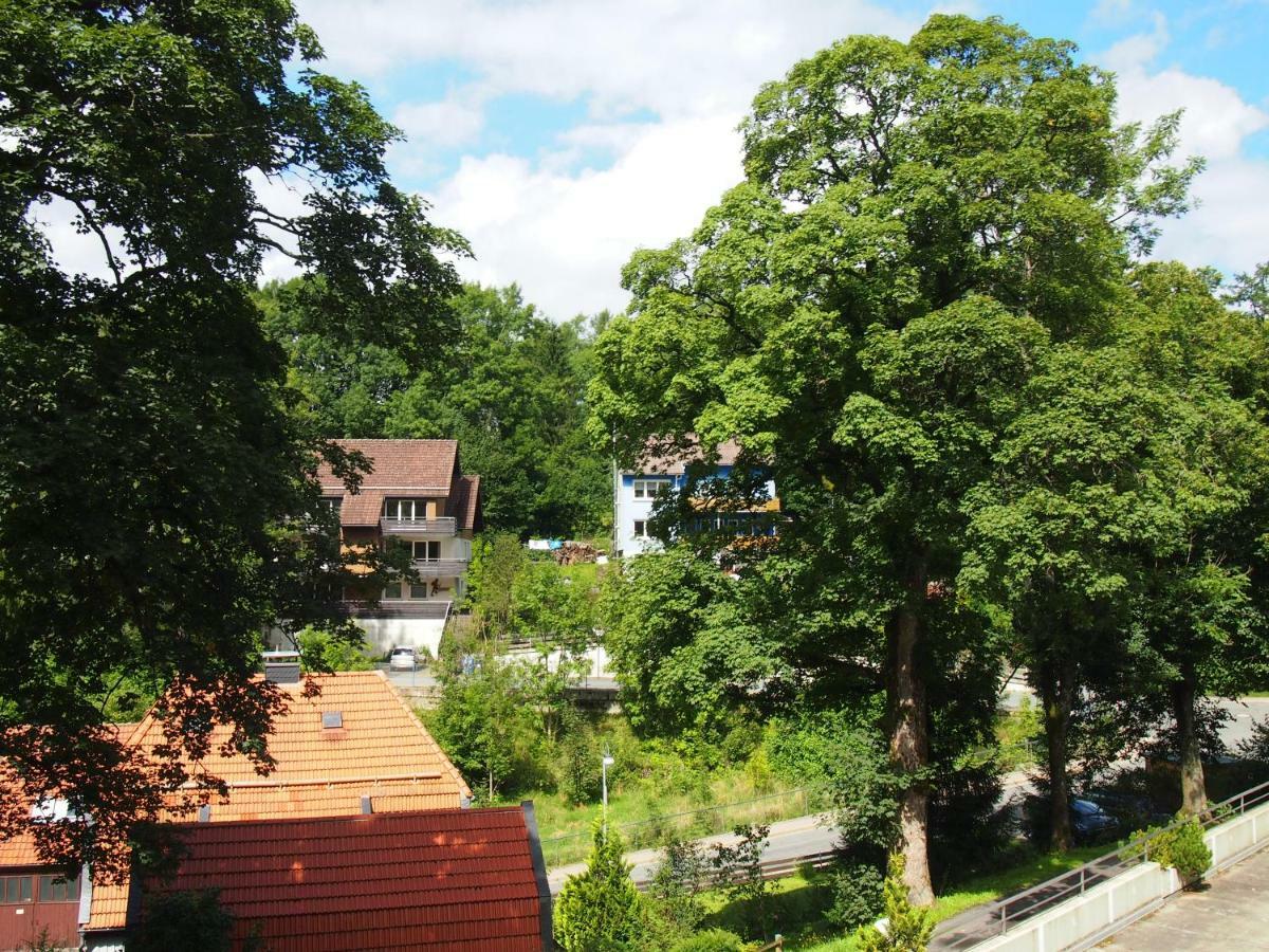 Apartment Harzgruen Sankt Andreasberg Luaran gambar